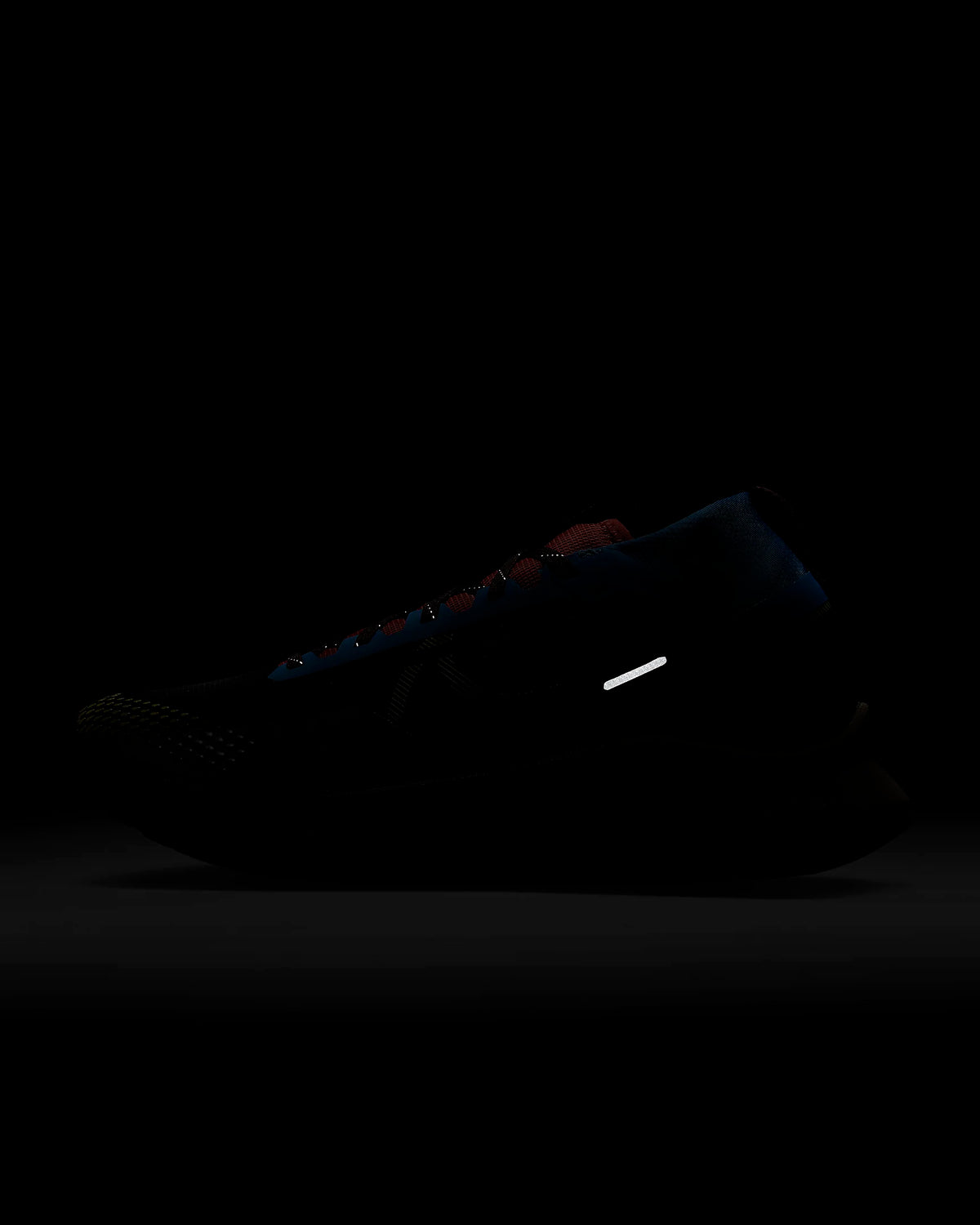 Nike Pegasus Trail 4 GORE-TEX | Light Blue